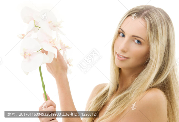 白蘭花-匯圖網(wǎng) www.fosd68.com 白蘭花