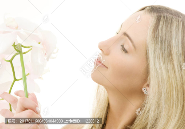 白蘭花