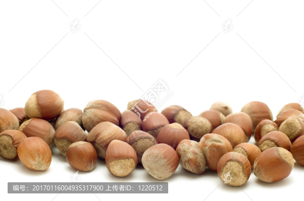 榛子特寫-匯圖網(wǎng) www.fosd68.com 榛子特寫