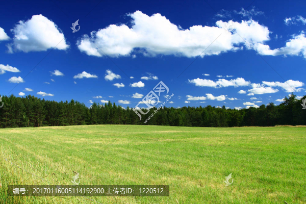 夏天的國家觀