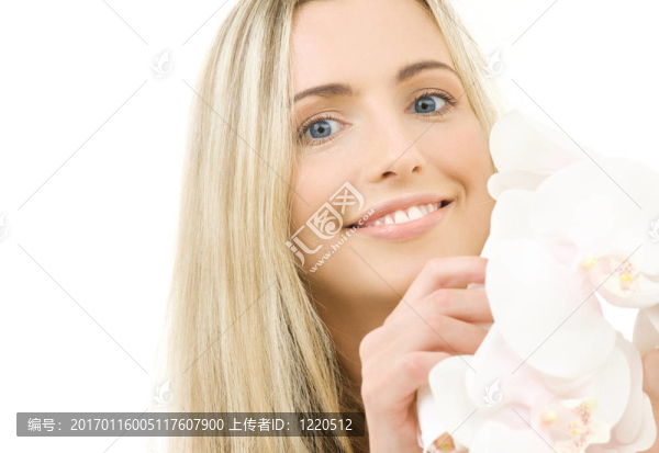 白蘭花