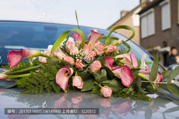 車上的花