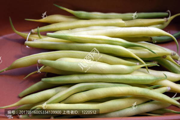 莢中的字符串