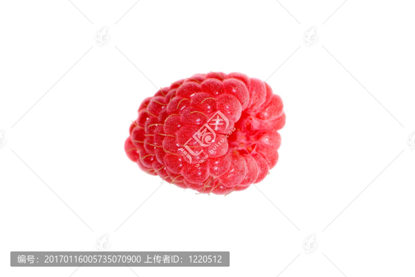 覆盆子