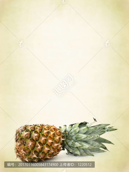 菠蘿