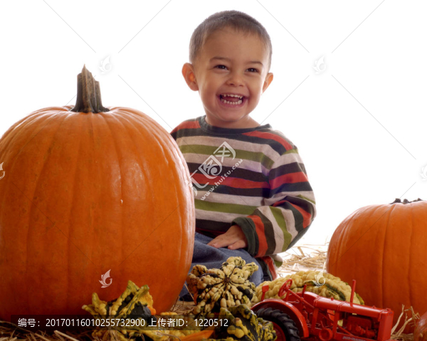 南瓜的男孩-匯圖網(wǎng) www.fosd68.com 南瓜的男孩