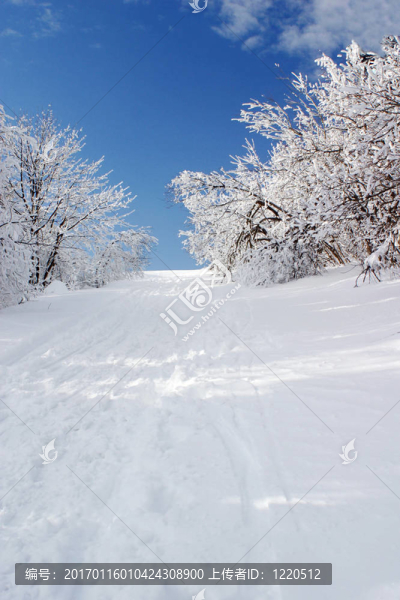 雪