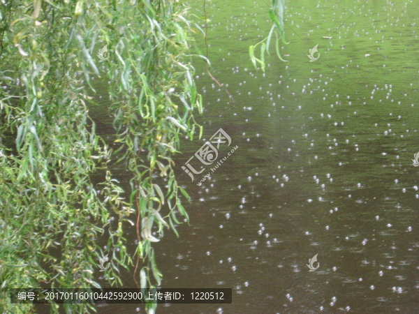 水-匯圖網(wǎng) www.fosd68.com 水