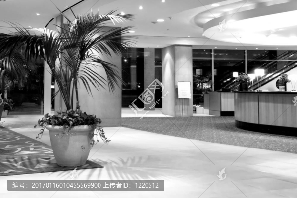 酒店接待
