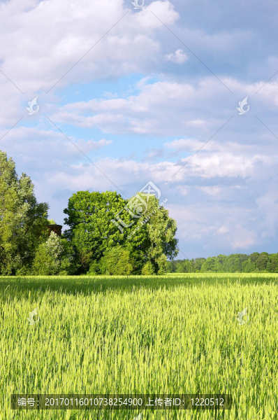 守望者-匯圖網(wǎng) www.fosd68.com 守望者