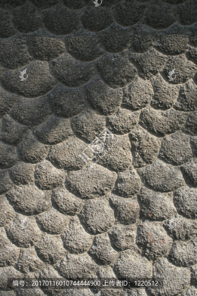 鵝卵石-匯圖網(wǎng) www.fosd68.com 鵝卵石