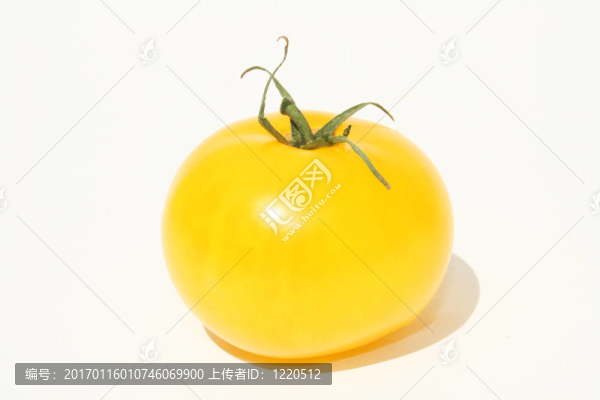 W上的單黃番茄