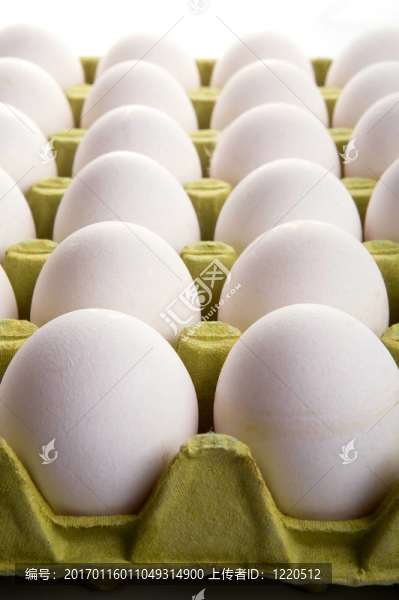 雞蛋-匯圖網(wǎng) www.fosd68.com 雞蛋