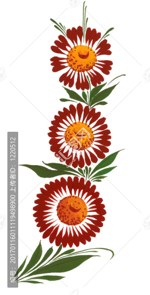 觀賞花卉