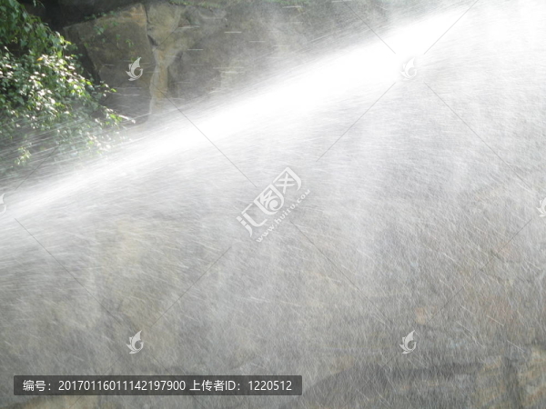 雨