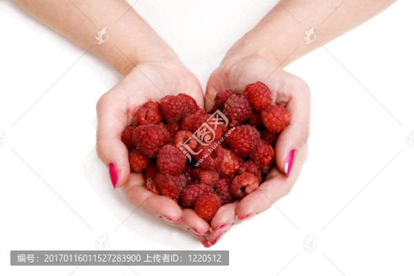 整個(gè)手掌的樹莓