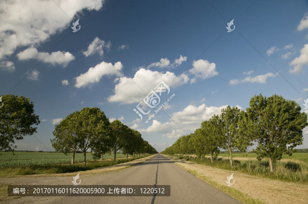 荷蘭景觀