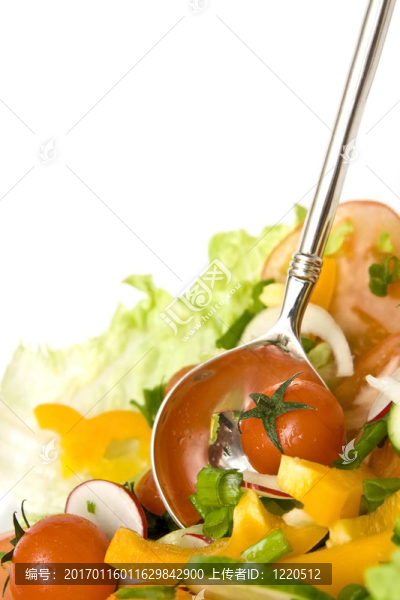 薩拉德-匯圖網(wǎng) www.fosd68.com 薩拉德