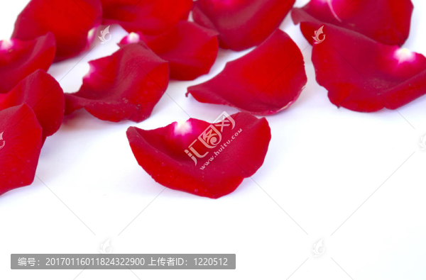花瓣