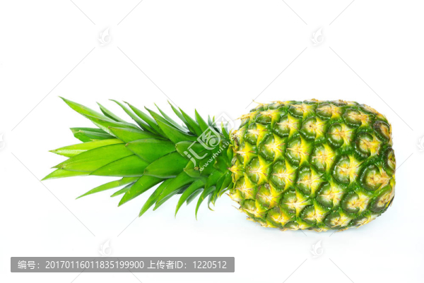 菠蘿