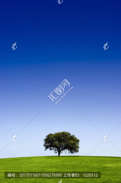 與TR的綠色景觀