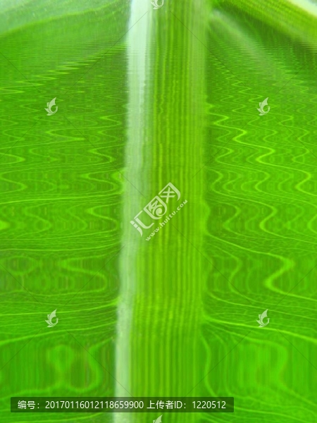 葉宏線