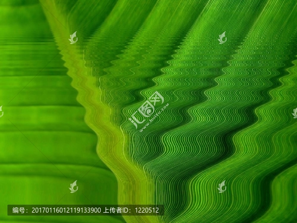 綠色波浪線