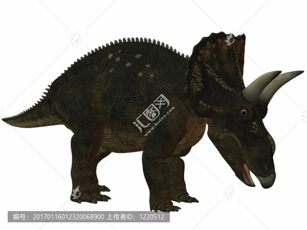 diceratops-3d恐龍