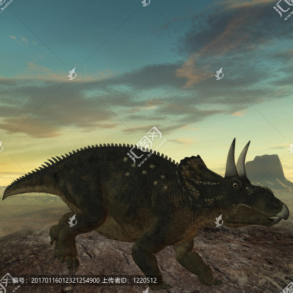 diceratops-3d恐龍