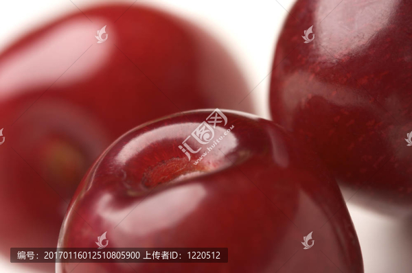 大櫻桃