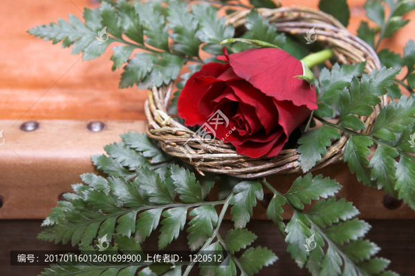 紅玫瑰