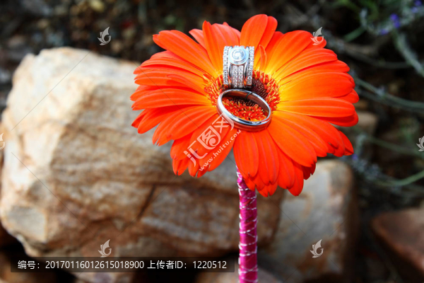 結(jié)婚戒指