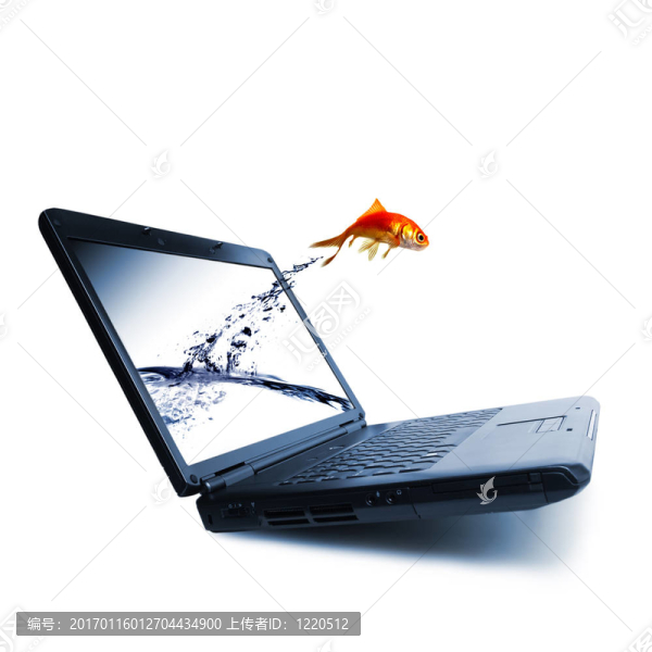 金魚跳