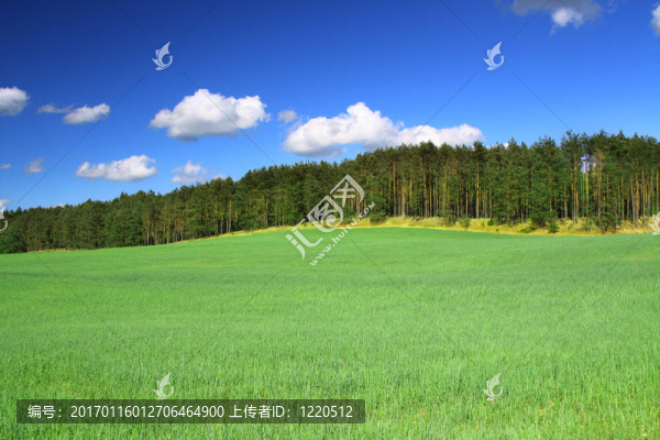 夏季國家觀2