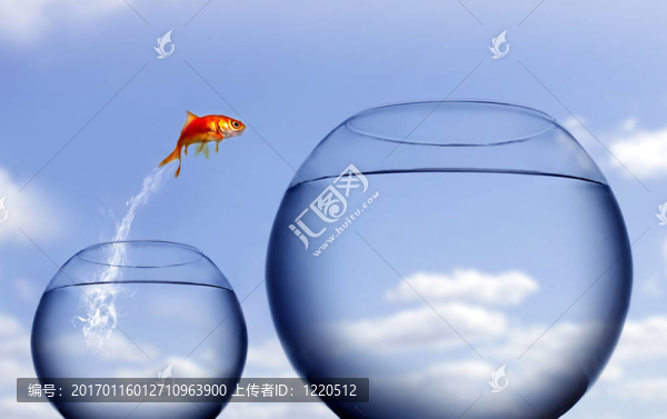 金魚從水里跳出來