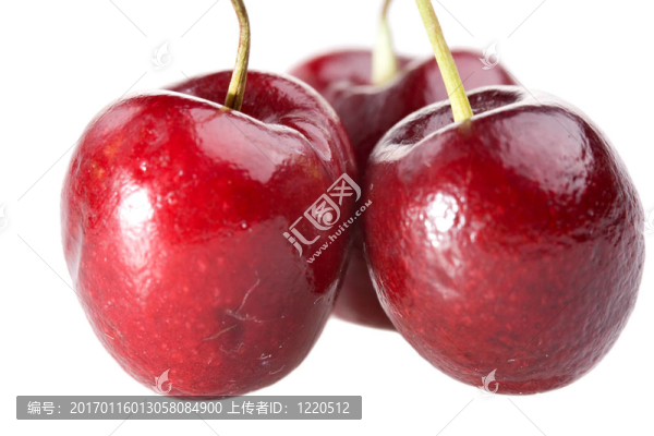 櫻桃-匯圖網(wǎng) www.fosd68.com 櫻桃