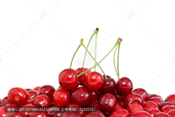 有和沒有莖的紅櫻桃樁