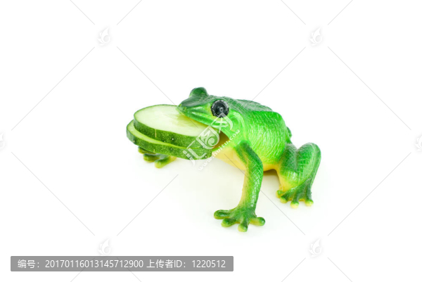 黃瓜片蛙