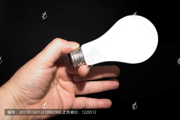 燈泡