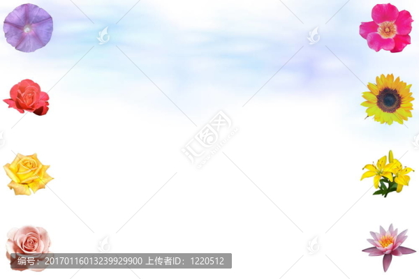 花和藍色的天空