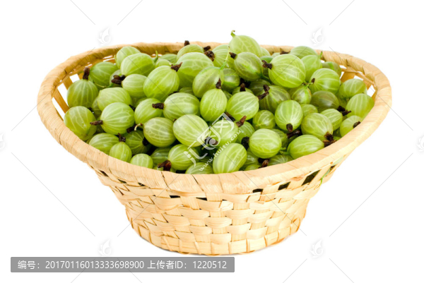 在柳條籃子鵝莓-匯圖網(wǎng) www.fosd68.com 在柳條籃子鵝莓