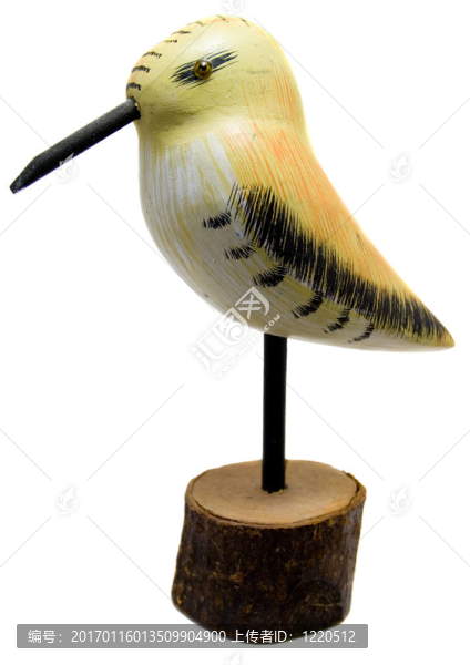 模型的鳥(niǎo)-匯圖網(wǎng) www.fosd68.com 模型的鳥(niǎo)