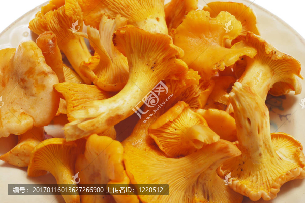 蘑菇-匯圖網(wǎng) www.fosd68.com 蘑菇