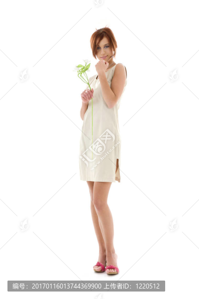 白色的花