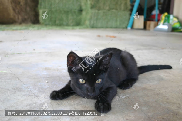 跟蹤-匯圖網(wǎng) www.fosd68.com 跟蹤