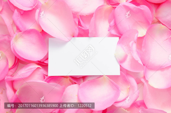 空白標(biāo)簽