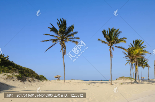 熱帶海灘
