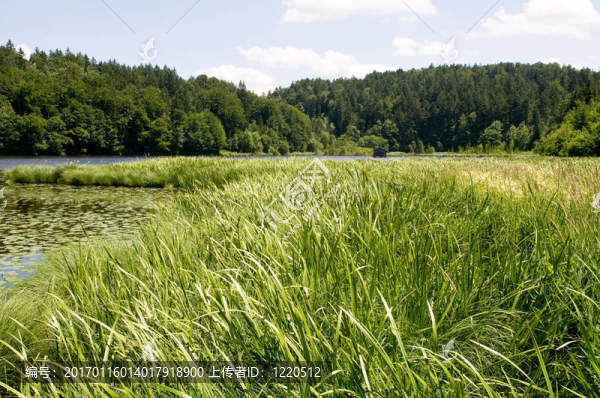 hackensee