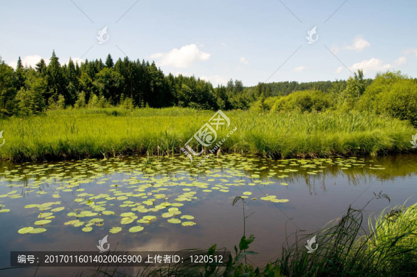 hackensee