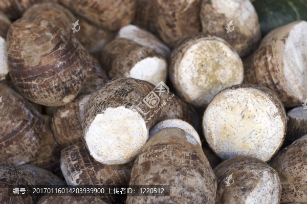 市場上的根蔬菜